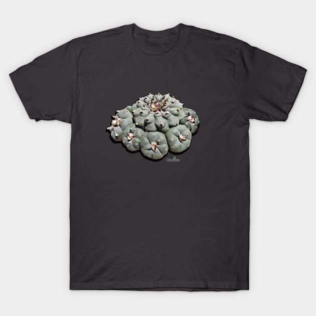 Lophophora Williamsii - The Peyote T-Shirt by Cactee